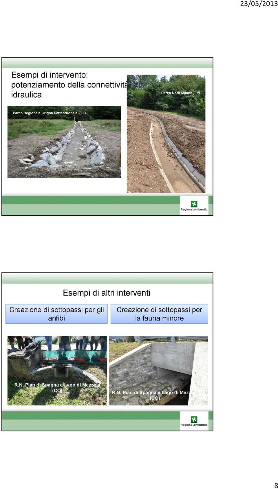 sottopassi per gli anfibi Creazione di sottopassi per la fauna minore R.N.