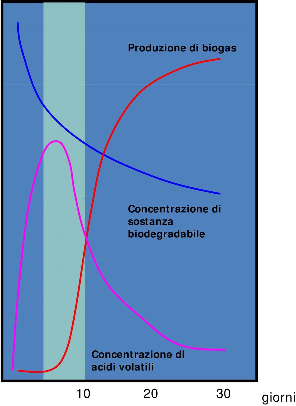 biodegradabile