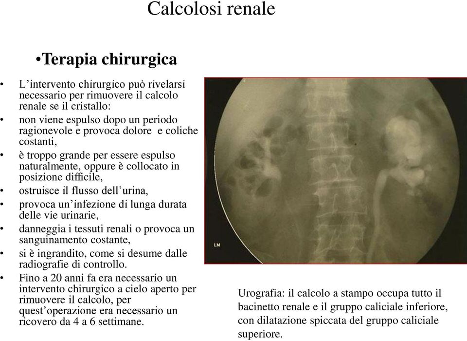 tessuti renali o provoca un sanguinamento costante, si è ingrandito, come si desume dalle radiografie di controllo.