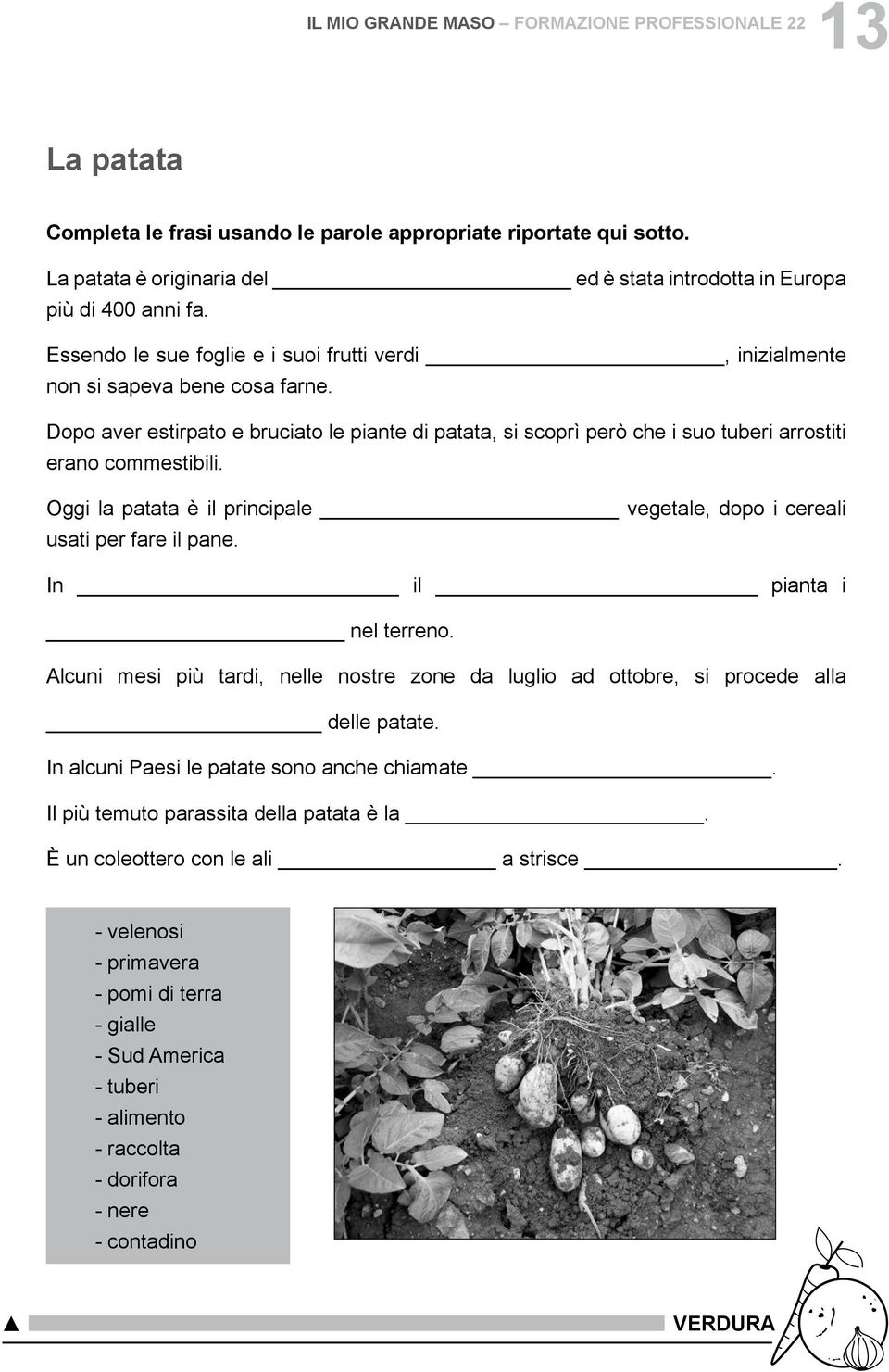 Dopo aver estirpato e bruciato le piante di patata, si scoprì però che i suo tuberi arrostiti erano commestibili. ggi la patata è il principale vegetale, dopo i cereali usati per fare il pane.