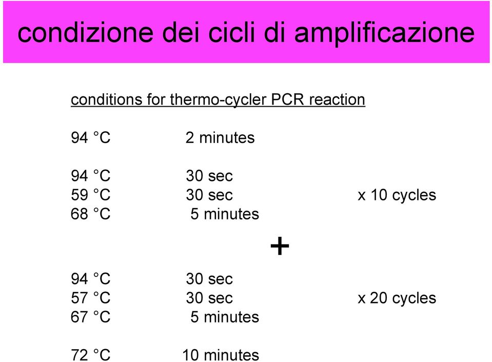 59 C 30 sec x 10 cycles 68 C 5 minutes + 94 C 30 sec