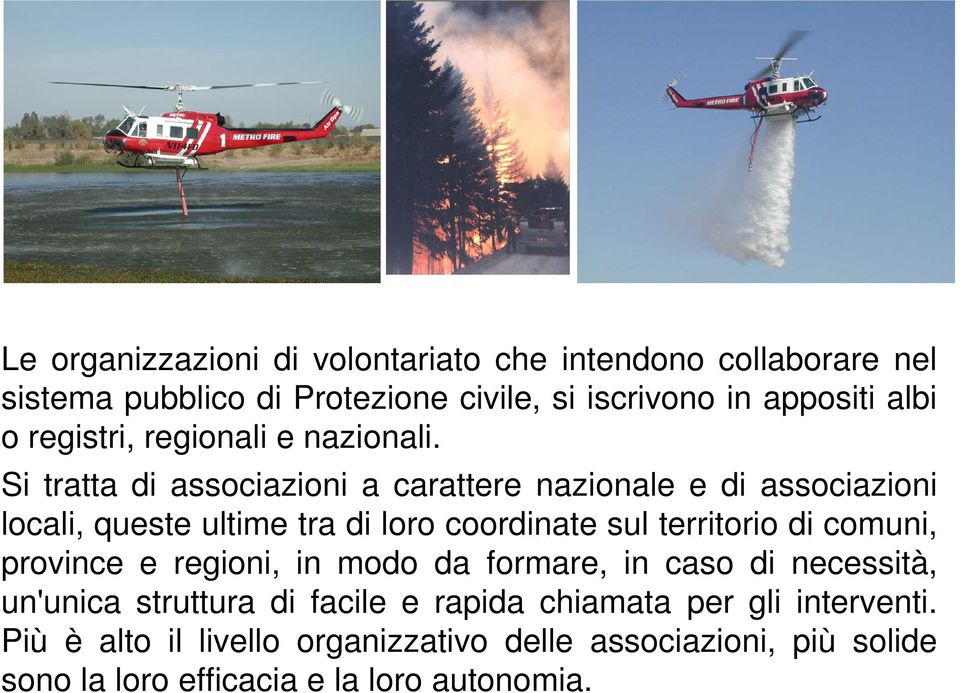 Si tratta di associazioni a carattere nazionale e di associazioni locali, queste ultime tra di loro coordinate sul territorio di