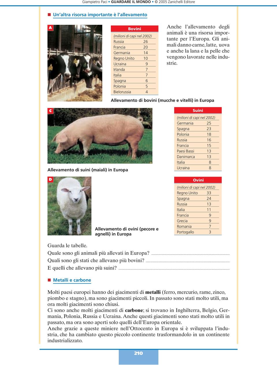 Allevamento di bovini (mucche e vitelli) in Europa C Allevamento di suini (maiali) in Europa D Allevamento di ovini (pecore e agnelli) in Europa Suini (milioni di capi nel 2002) Germania 25 Spagna 23