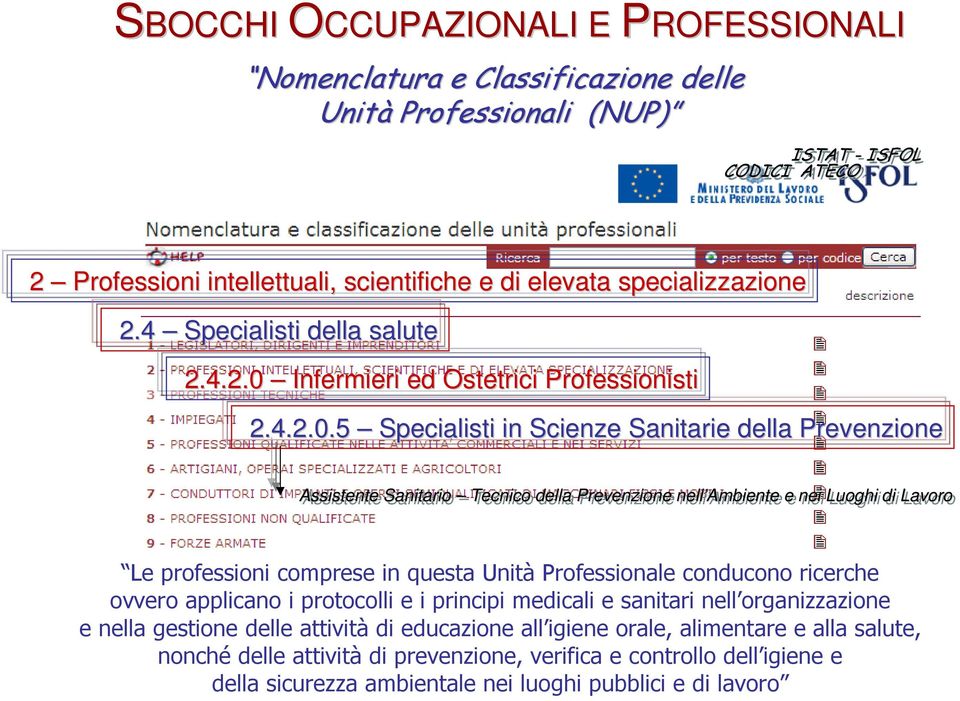 Infermieri ed Ostetrici Professionisti 2.4.2.0.