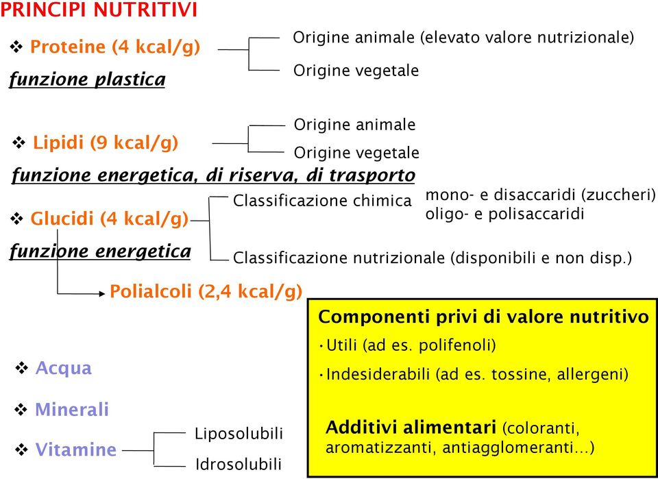 e polisaccaridi Classificazione nutrizionale (disponibili e non disp.) Acqua Polialcoli (2,4 kcal/g) Componenti privi di valore nutritivo Utili (ad es.