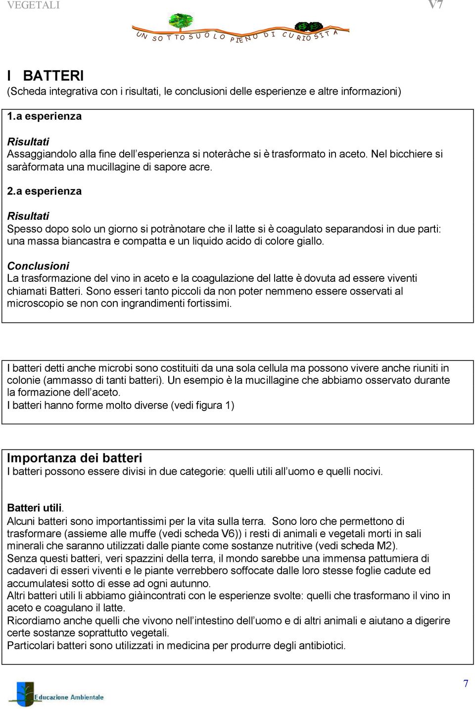 a esperienza Risultati Spesso dopo solo un giorno si potrà notare che il latte si è coagulato separandosi in due parti: una massa biancastra e compatta e un liquido acido di colore giallo.