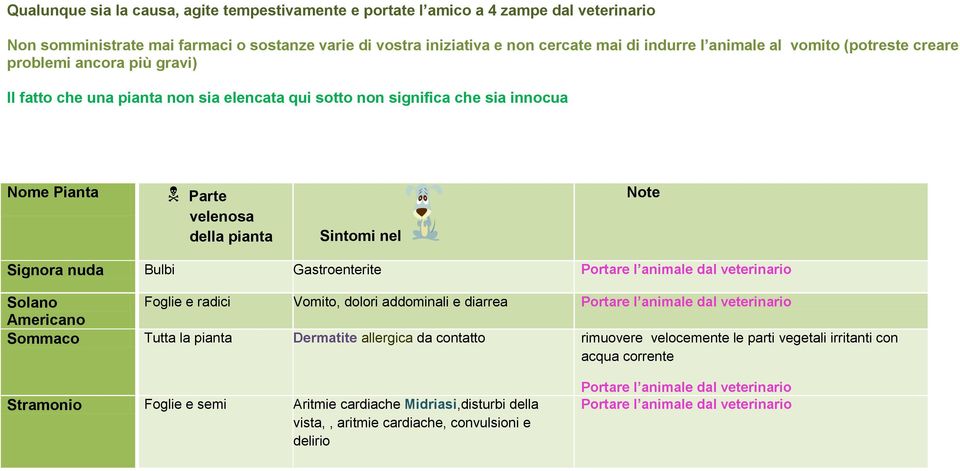 velocemente le parti vegetali irritanti con acqua corrente Stramonio Foglie e semi