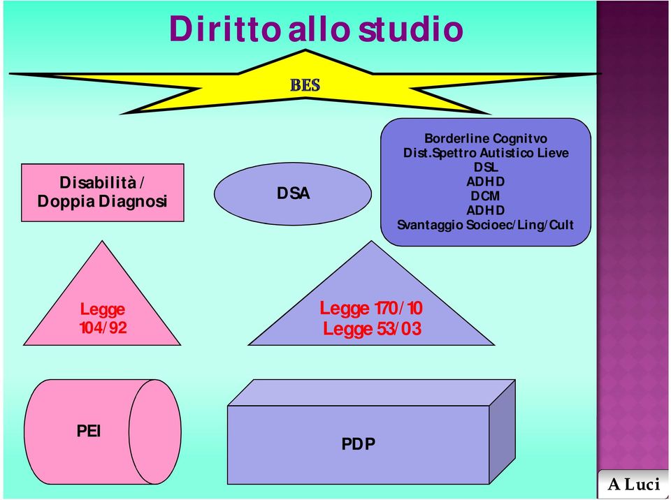Spettro Autistico Lieve DSL ADHD DCM ADHD