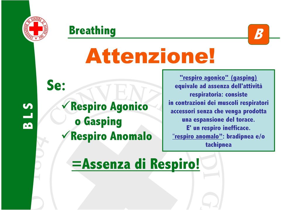 assenza dell'attività respiratoria: consiste in contrazioni dei muscoli respiratori