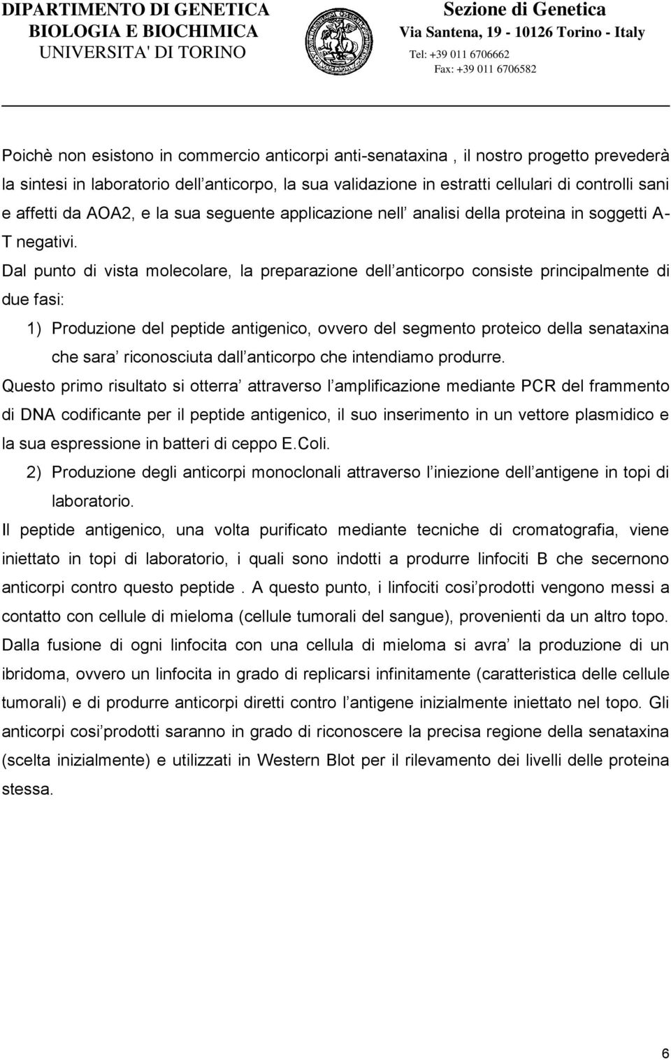 Dal punto di vista molecolare, la preparazione dell anticorpo consiste principalmente di due fasi: 1) Produzione del peptide antigenico, ovvero del segmento proteico della senataxina che sara