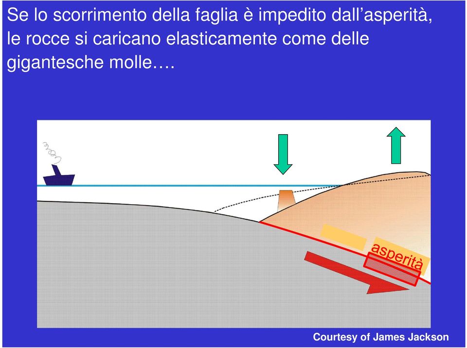 caricano elasticamente come delle