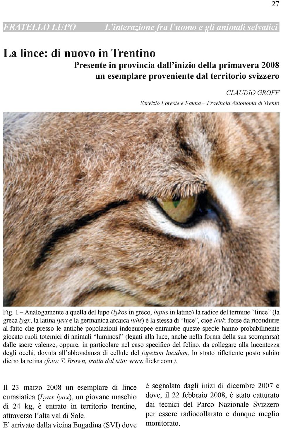 1 Analogamente a quella del lupo (lykos in greco, lupus in latino) la radice del termine lince (la greca lygx, la latina lynx e la germanica arcaica luhs) è la stessa di luce, cioè leuk, forse da