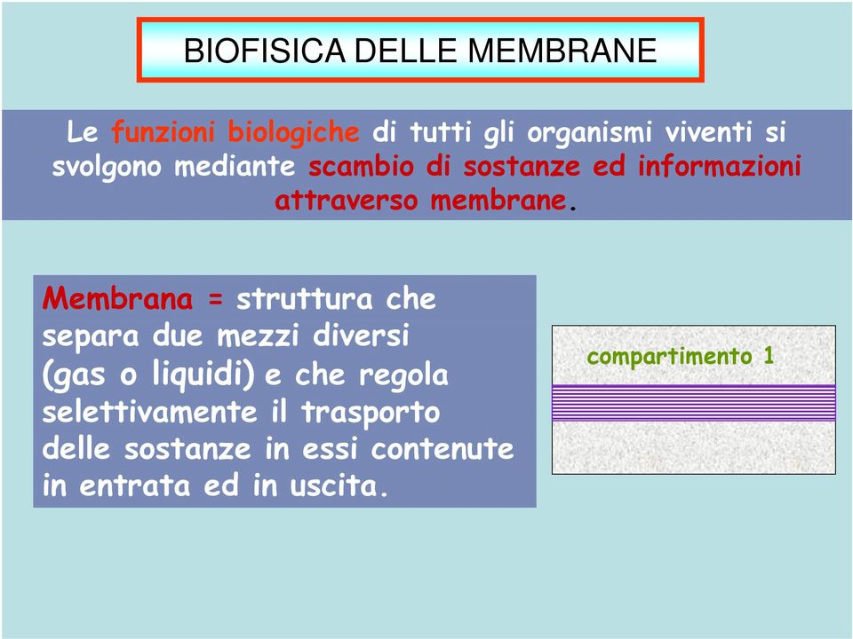Membrana = struttura che separa due mezzi diversi (gas o liquidi) e che regola