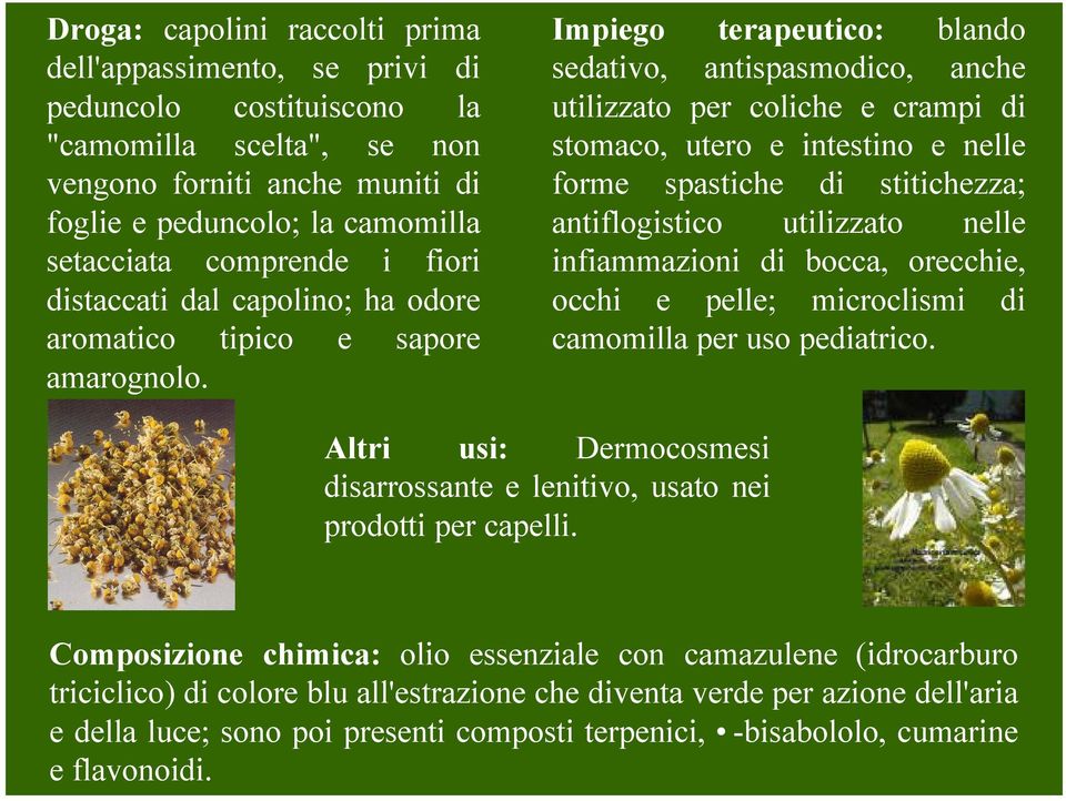 Impiego terapeutico: blando sedativo, antispasmodico, anche utilizzato per coliche e crampi di stomaco, utero e intestino e nelle forme spastiche di stitichezza; antiflogistico utilizzato nelle