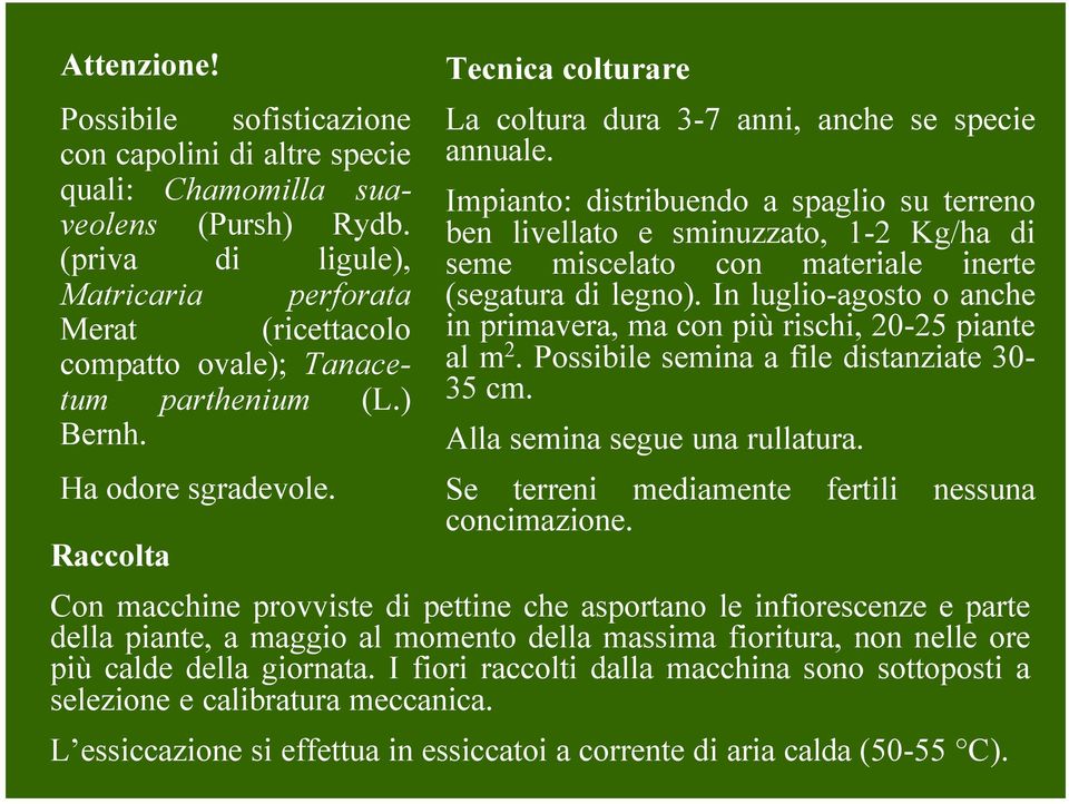 Raccolta Tecnica colturare La coltura dura 3-7 anni, anche se specie annuale.