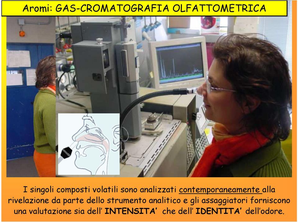 da parte dello strumento analitico e gli assaggiatori