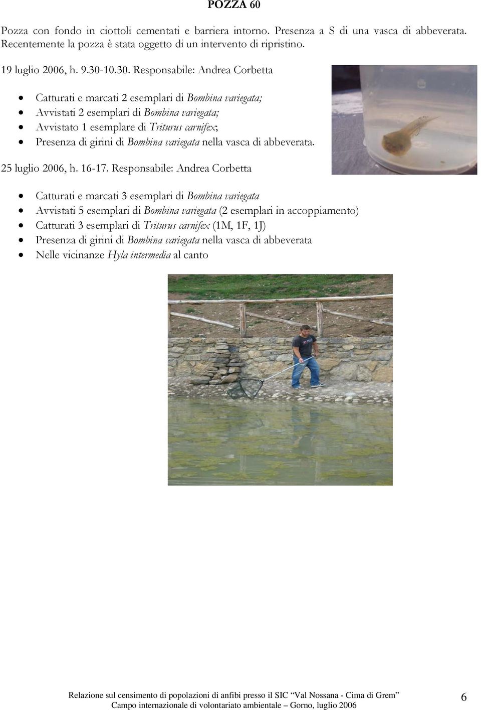 girini di Bombina variegata nella vasca di abbeverata. 25 luglio 2006, h. 16-17.