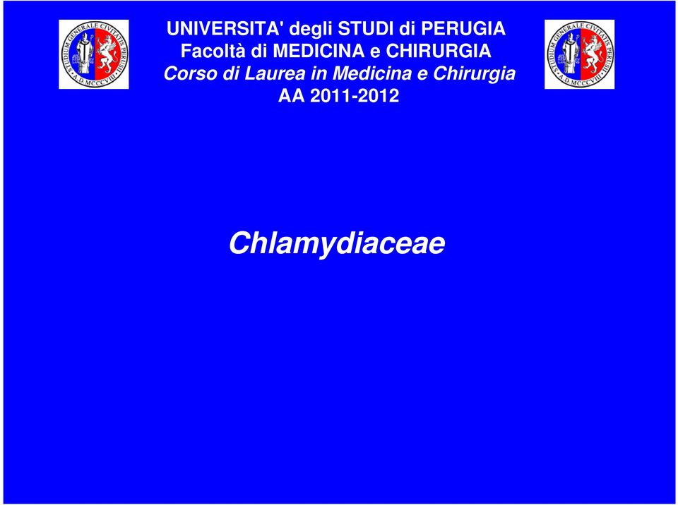 CHIRURGIA Corso di Laurea in