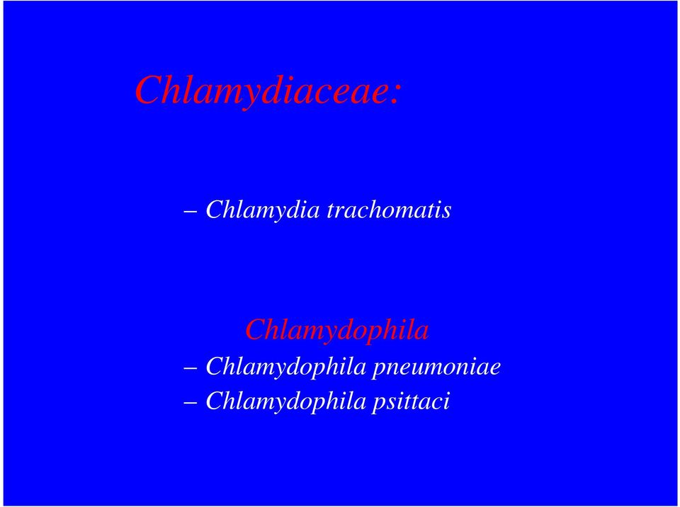 Genere Chlamydophila