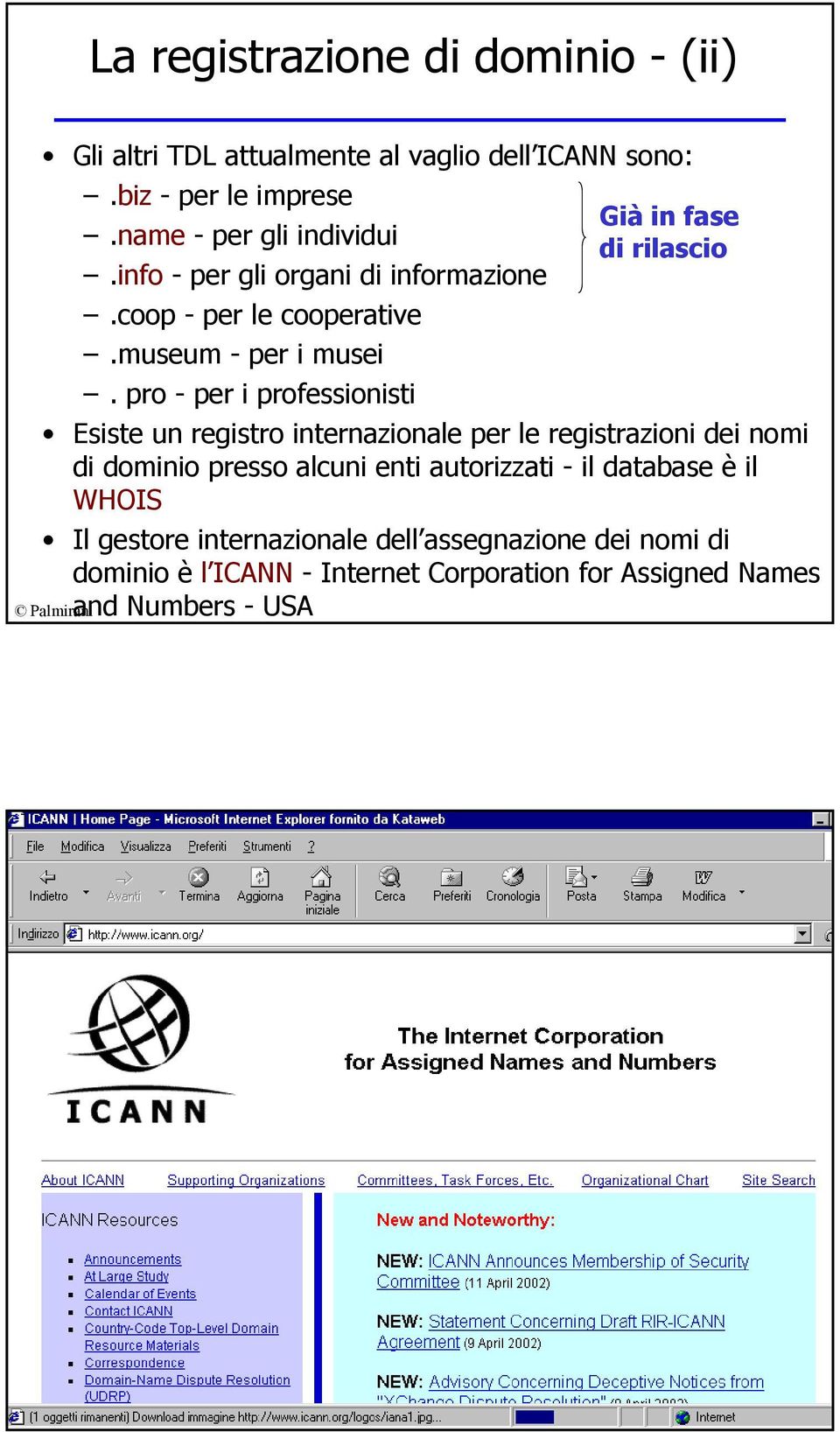 pro - per i professionisti Già in fase di rilascio Esiste un registro internazionale per le registrazioni dei nomi di dominio presso alcuni