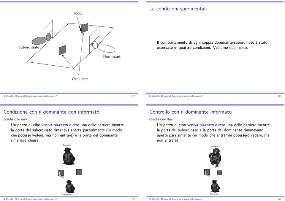 38 Condizione con il dominante non informato condizione uno Un pezzo di cibo veniva piazzato dietro una delle barriere mentre la porta del subordinato rimaneva aperta parzialmente (in modo che