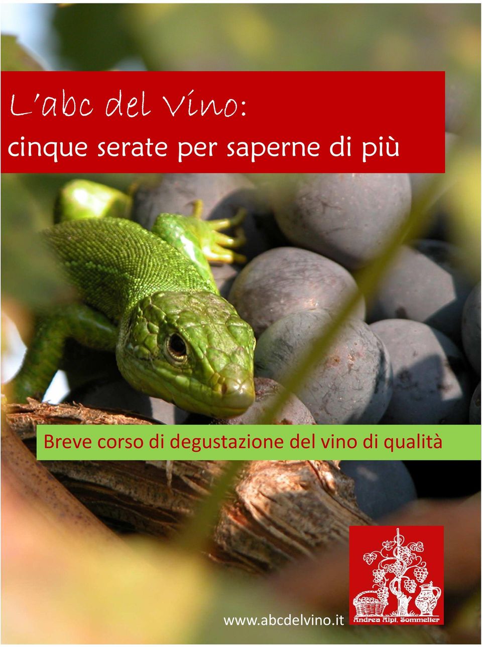 Breve corso di degustazione