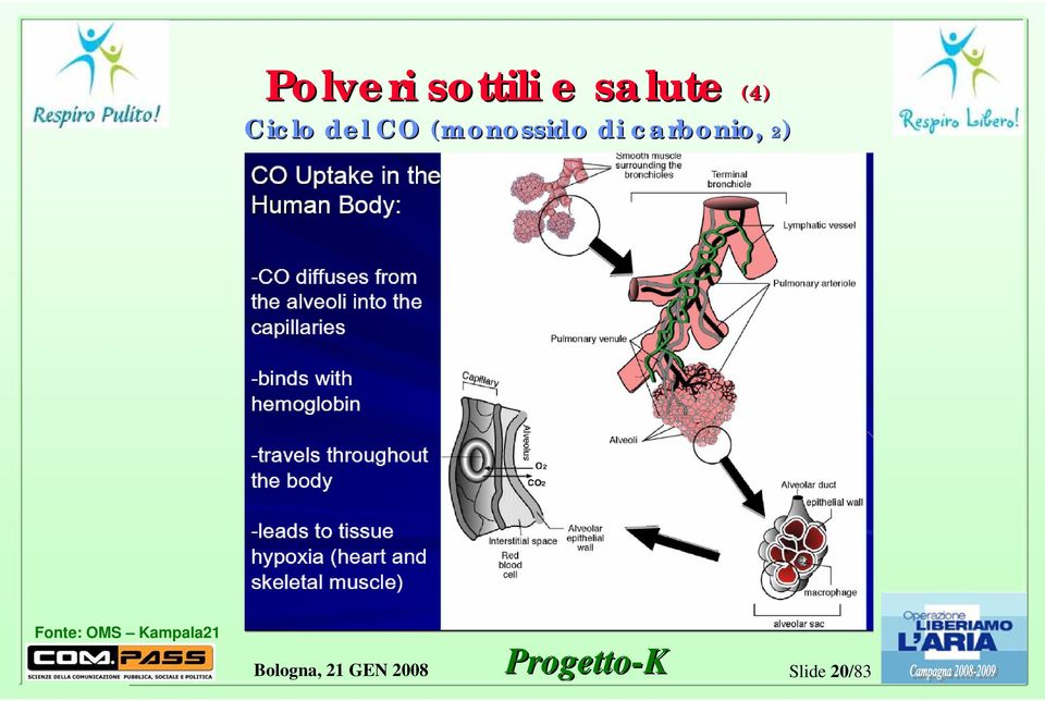 (monossido di carbonio,