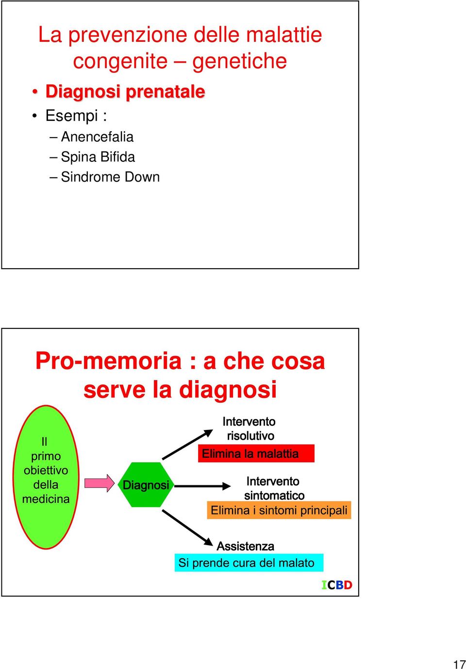 Anencefalia Spina Bifida Sindrome Down