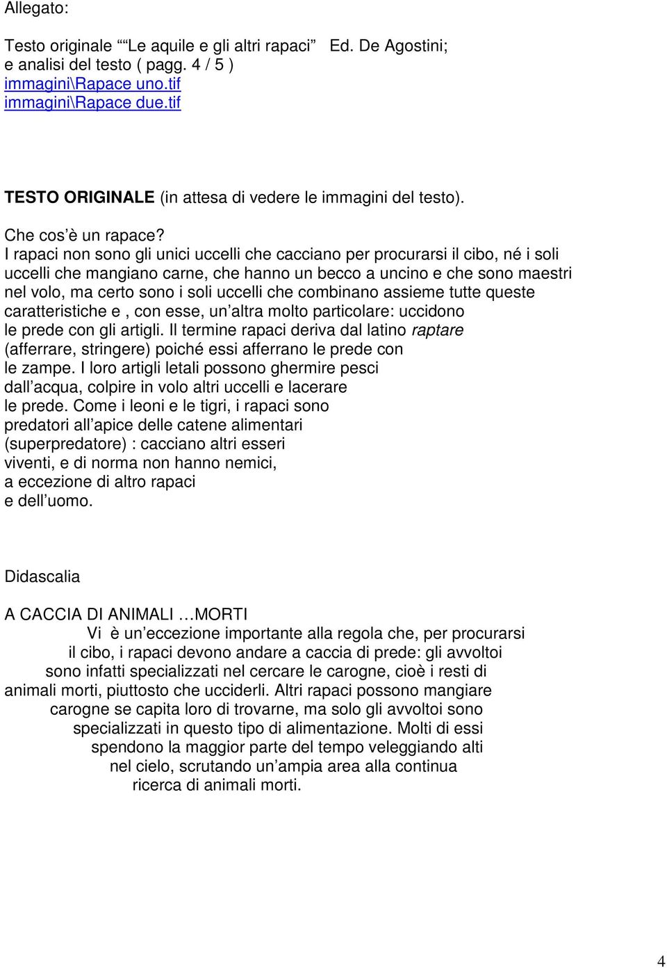 I rapaci non sono gli unici uccelli che cacciano per procurarsi il cibo, né i soli uccelli che mangiano carne, che hanno un becco a uncino e che sono maestri nel volo, ma certo sono i soli uccelli