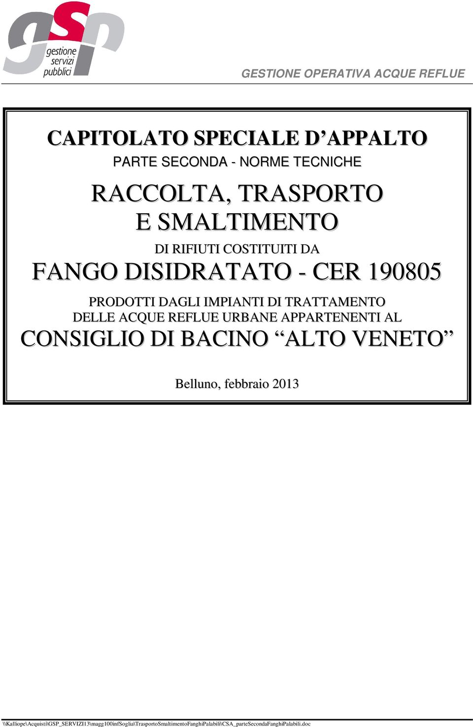 ACQUE REFLUE URBANE APPARTENENTI AL CONSIGLIO DI BACINO ALTO VENETO Belluno, febbraio 2013