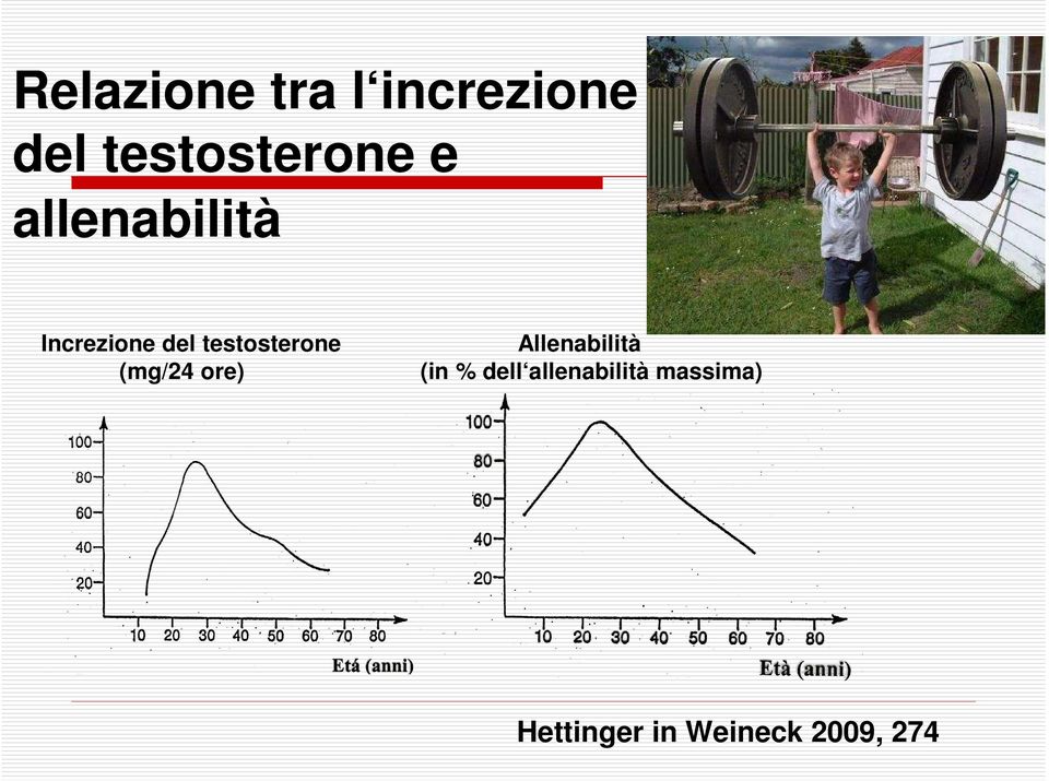 Allenabilità (mg/24 ore) (in % dell