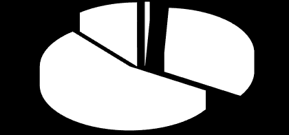 ASSE SCIENTIFICO-TECNOLOGICO OTTIMO BUONO SUFFICIENTE MEDIOCRE INSUFFICIENTE 2 77 126 25 0 PERC.