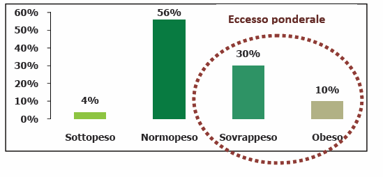 Situazione nutrizionale della popolazione Azienda ULSS 18 e Regione Veneto - PASSI 2010 60% 50% 40% 30% 50% Eccesso Ponderale 34% 20% 10% 4% 12% 0% Sottopeso Normopeso Sovrappeso Obeso Quante e quali