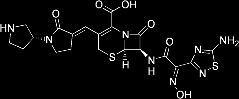 Ceftobiprole ATTIVO CONTRO MRSA, E.