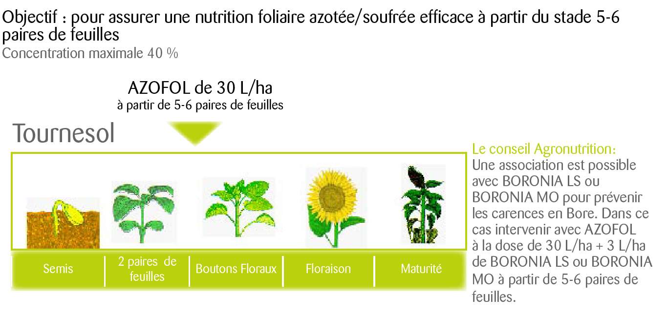 AZOFOL : CONSIGLI DI UTILIZZO Obiettivi : per assicurare una nutrizione Azoto/Zolfo efficace a partire dallo stadio di 5-6 foglie Concentrazione massima : 40L di AZOFOL in 200 L d acqua minimo