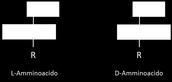 Chiralità Essendo il carbonio centrale degli amminoacidi legato a quattro gruppi atomici diversi (tranne nella glicina in cui R è un atomo di idrogeno) possiamo definirlo uno stereocentro.