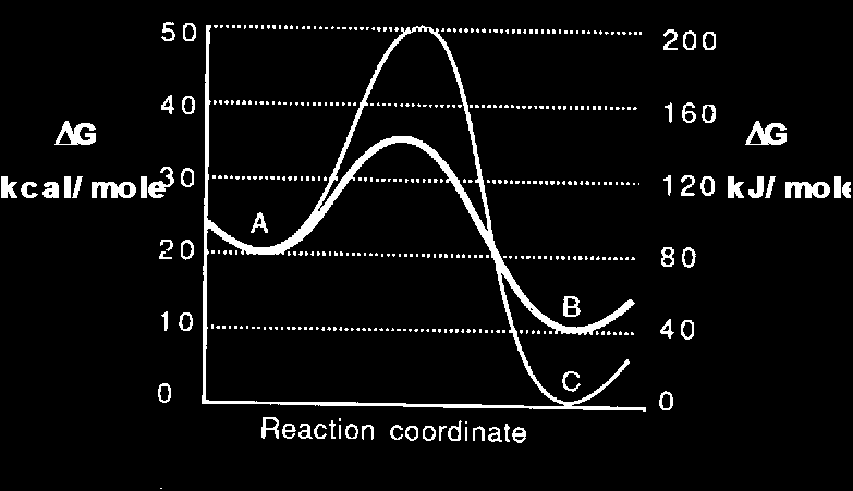 4. Secondo il seguente diagramma di energia, a) Quale è il prodotto cinetico da A? b) Quale è il prodotto termodinamico da A? c) Quale è il G per A B? d) Quale è il G per A? e) Quale è il G per A B?