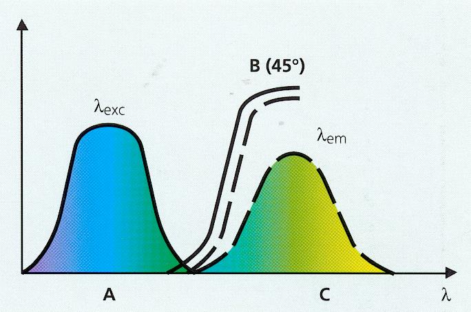 Fluorescenza A : picco di eccitazione B : beam splitter C : picco di emissione Ogni cromogeno possiede un sua specifica lunghezza d onda