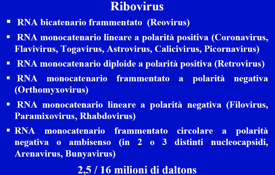 Composizione