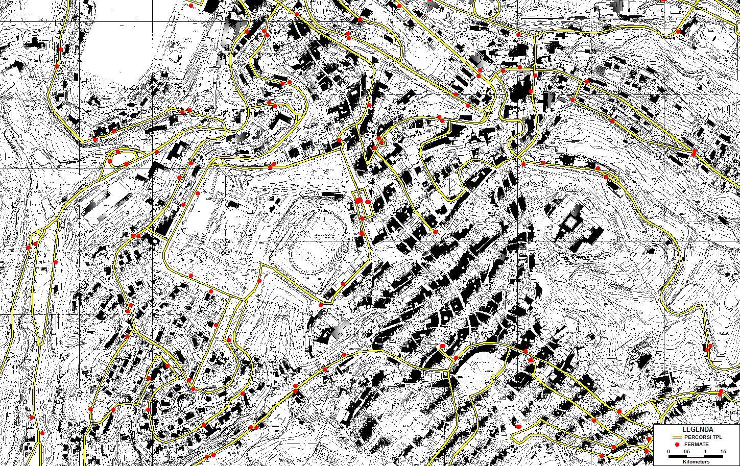 IL TESSUTO URBANO E L OROGRAFIA DEL TERRITORIO SIENA CENTRO STORICO CON TESSUTO URBANO DI VALENZA STORICA (CON