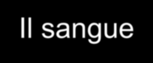 Il sangue Il sangue è un tessuto a sostanza intercellulare liquida costituito da: Cellule ematiche (45%) Eritrociti (emazie, globuli rossi) Leucociti Polimorfonucleati (granulociti neutrofili,