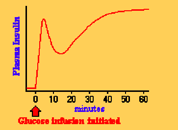 I Fase: immediata (secondi) insulina già presente nella