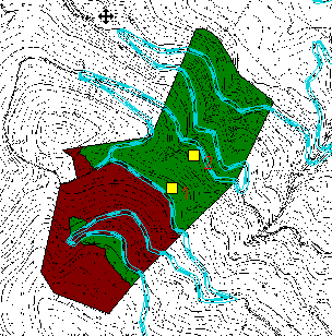 cedui di castagno dell' Inventario Forestale Nazionale Italiano (Istituto per l' Assestamento Forestale e per l' Alpicoltura I.S.A.F.A. 4).