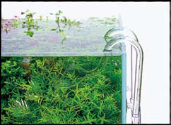 Tubi di mandata del filtro, per creare differenti flussi d acqua che soddisfano le esigenze di ogni acquario.