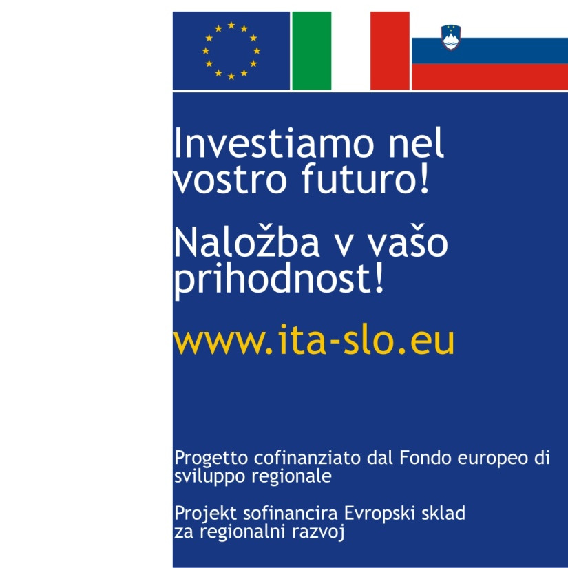 Basi giuridiche e le pratiche in Italia Il Progetto PROFILI Projekt PROFILI Progetto Standard bando n.