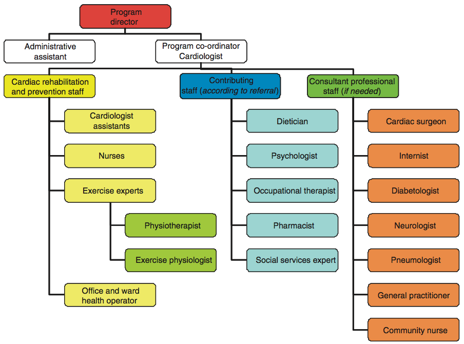 A Proposal for the Organizational Chart for a Cardiac