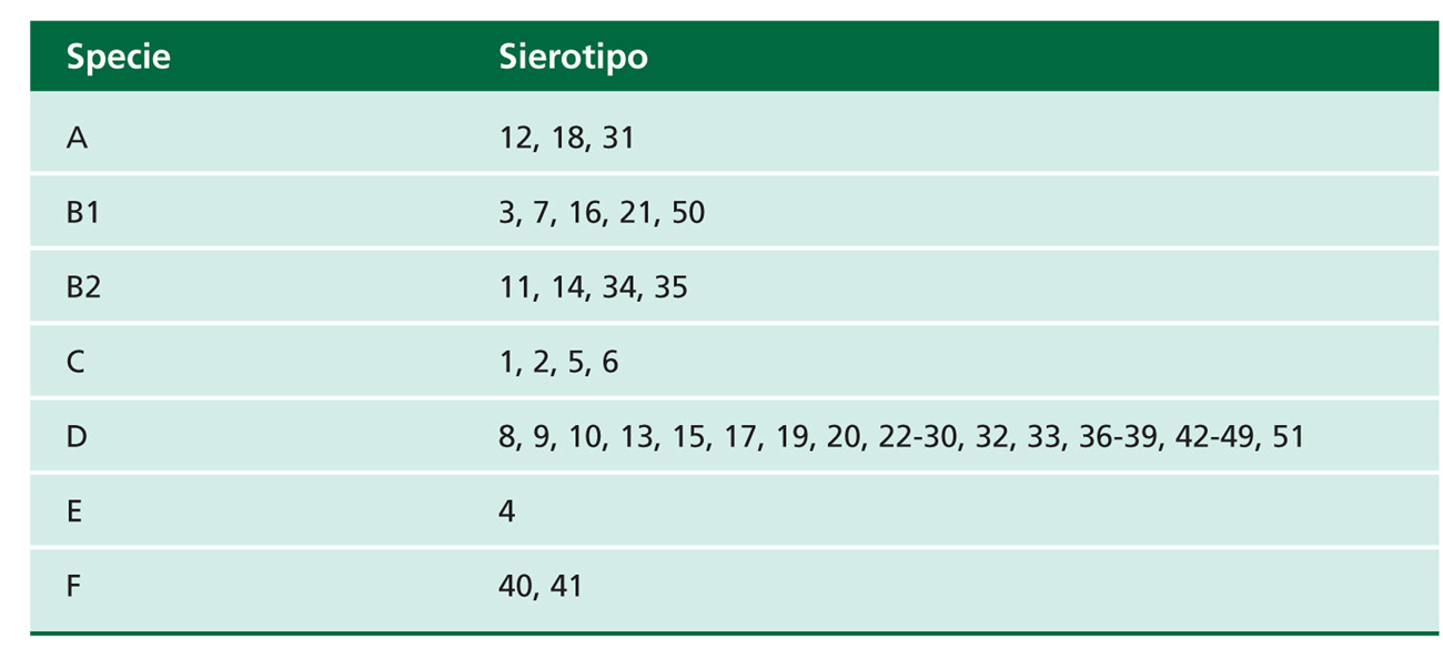 Classificazione