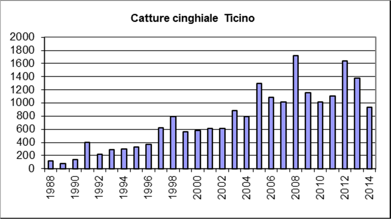 CINGHIALE Numero di catture che deve rimanere elevato per compensare l alto tasso riproduttivo.