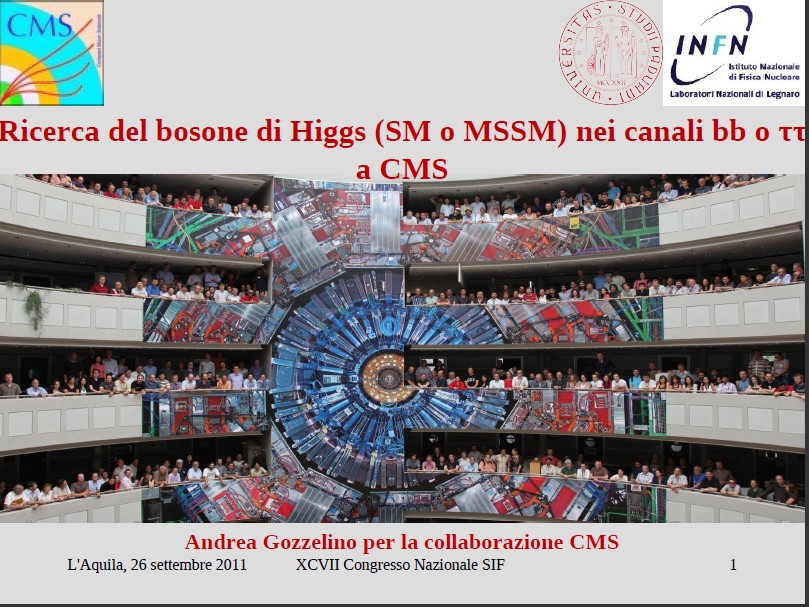 Acquisition System for Experimental Physics commercial adapters qualification"; Articolo su Annual Report 2010 dei