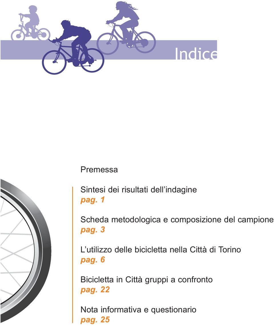 3 L utilizzo delle bicicletta nella Città di Torino pag.